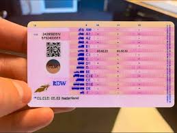 nep rijbewijs maken